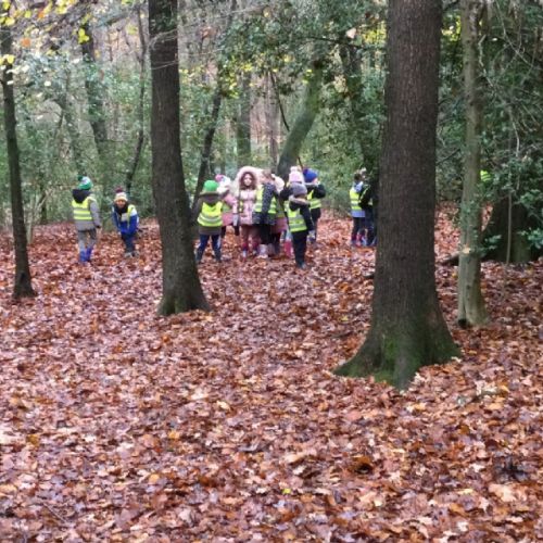 Lickey Hills Visit November 2022