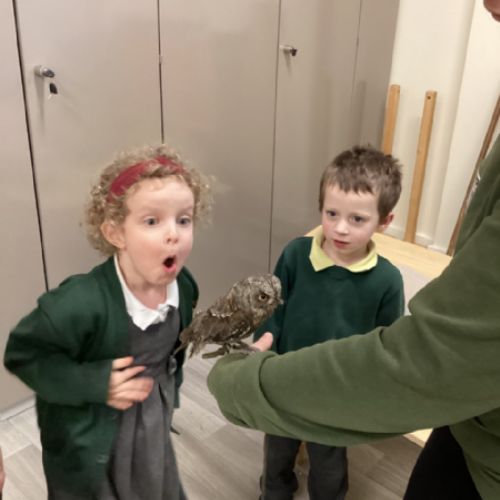 Animals visit Early Years