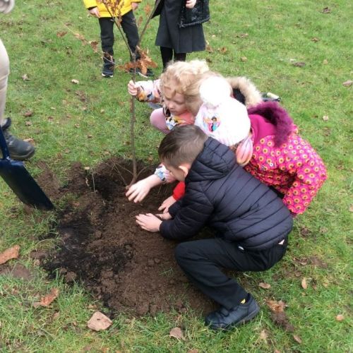 Class Tree Planting
