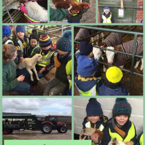 Our Learning March 2018