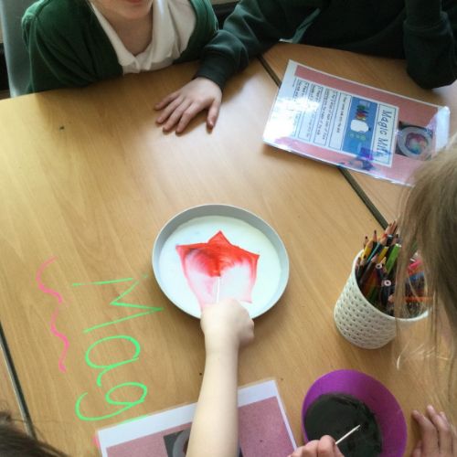 Scienceweek2