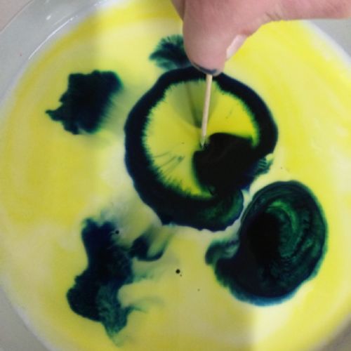 Scienceweek6