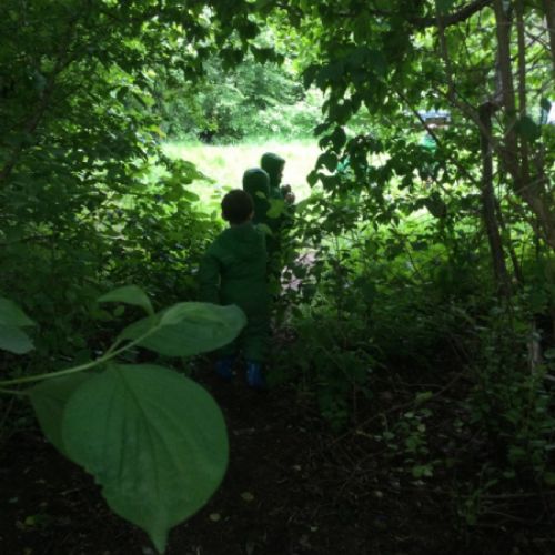 ForestSchool3
