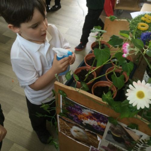 ForestSchool5